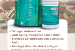 LP – Norapedin Duplikat Orci G