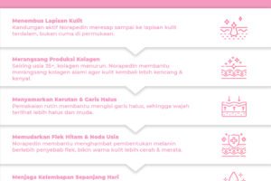 LP – Norapedin Duplikat Sibersih Meta