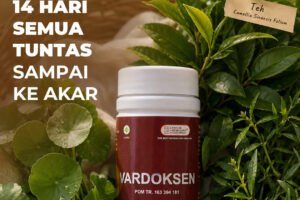 LP Vardoksen Terbaru MEI